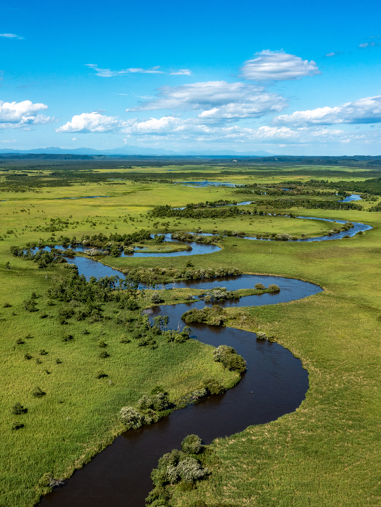 メインビジュアル画像